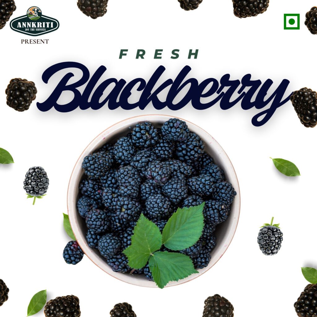 Fresh organic blackberries by Kesarishalya Industries