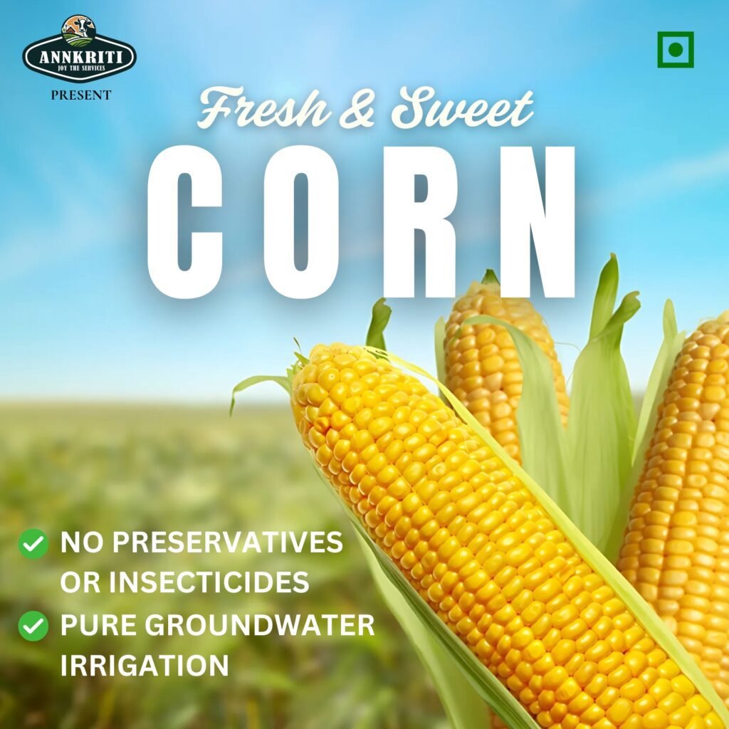 Fresh organic corn cobs by Kesarishalya Industries