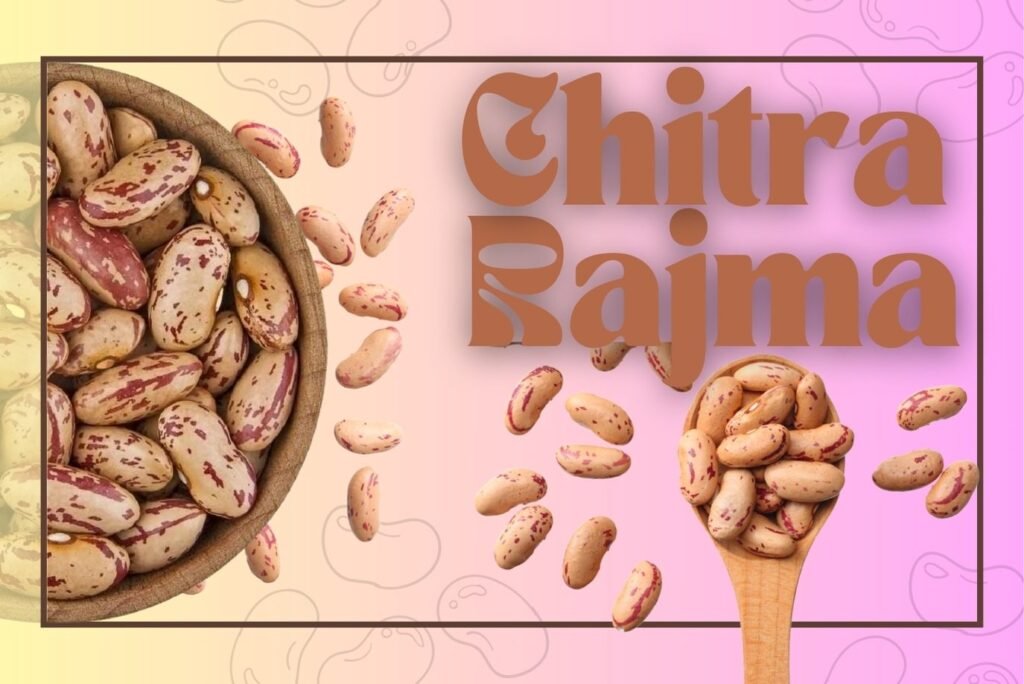 Chitra Rajma with natural marbled patterns – sourced from the Himalayan foothills, known for quick cooking and nutty flavor