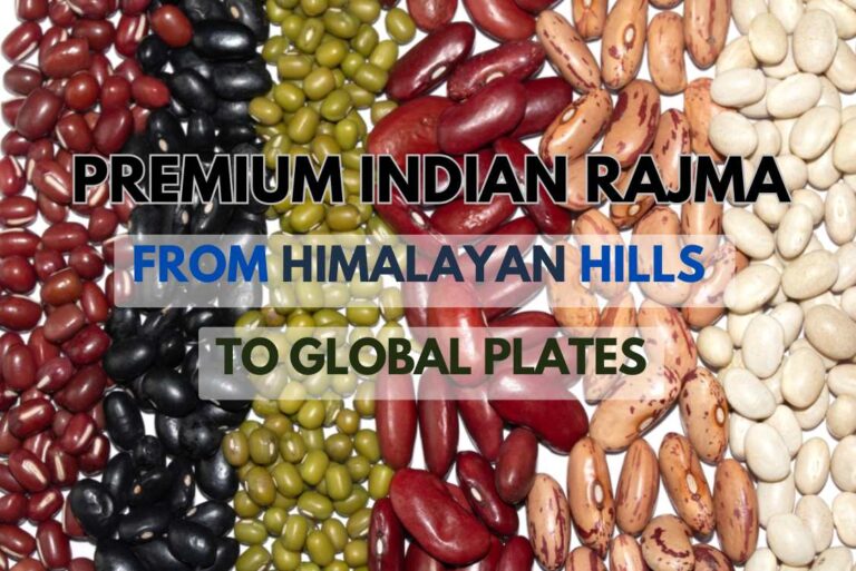 Premium Verity of Indian Rajma's (Beans)