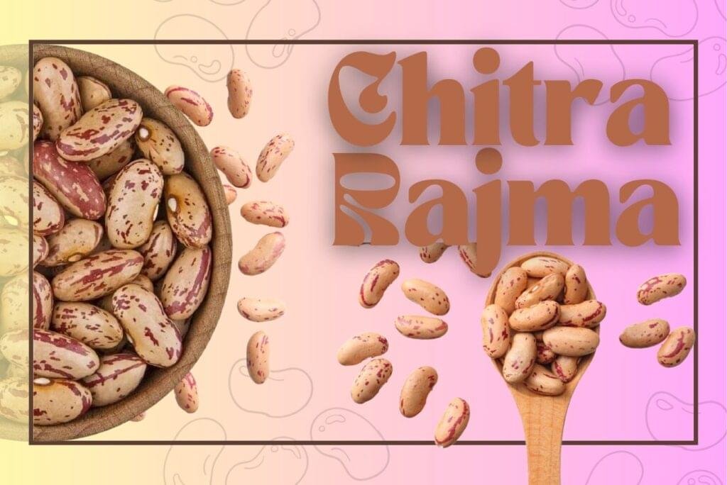 Chitra Rajma with natural marbled patterns – sourced from the Himalayan foothills, known for quick cooking and nutty flavor