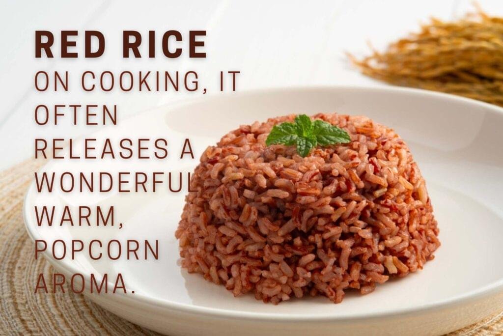 Red Rice Cooked and Served