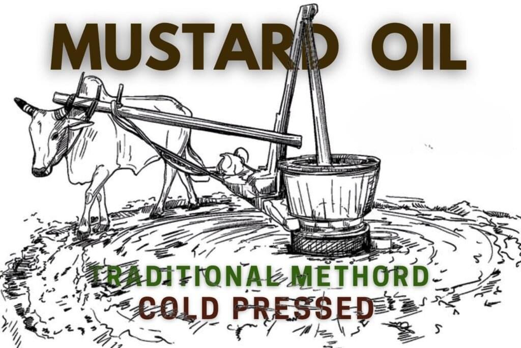Traditional extraction method of cold pressed mustard oil
