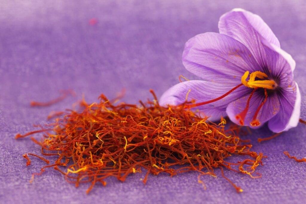 Authentic saffron threads are a dark red color and mild yellow tips with trumpet